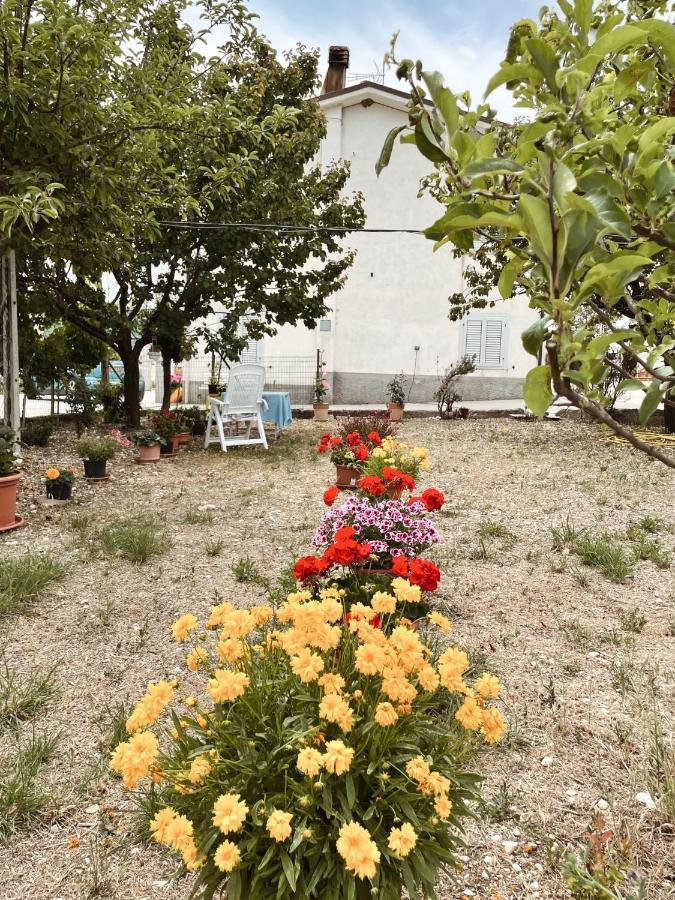 MontegiorgioLa Casa Degli Artisti住宿加早餐旅馆 外观 照片